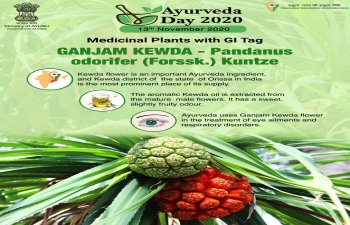 #Ayurveda4Health